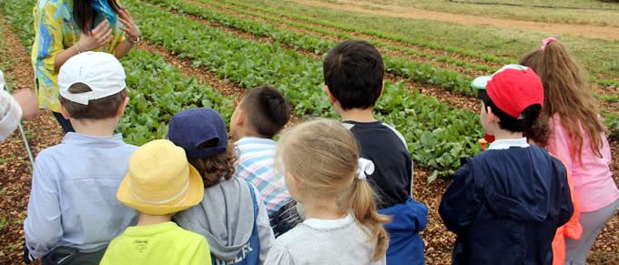 Immagine 3: Gli alunni della Scuola Tinelli a lezione in masseria didattica