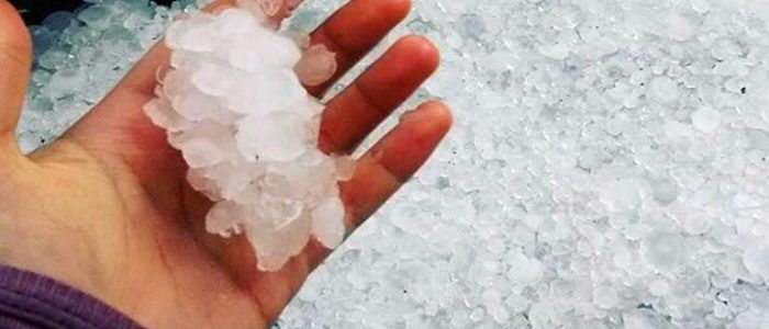Immagine 3: Maltempo e danni nel sud-est barese, Noci illesa