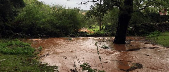 Immagine 4: Maltempo: Scuola Cappuccini chiusa, strade e cantine allagate
