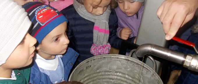 Immagine 3: Scuola Guarella: i bambini 'fanno' l'olio
