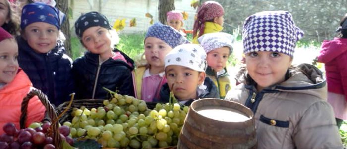 Immagine 2: Profumo di vendemmia