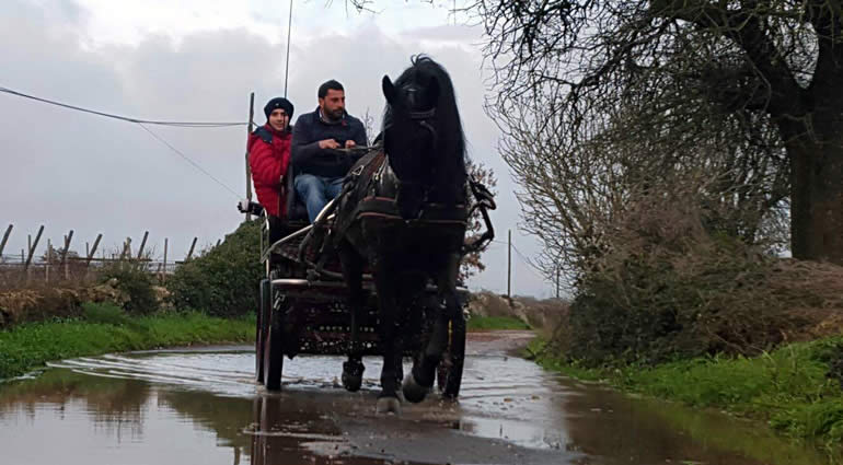 “Festa del Tesseramento” al Circolo Ippico Monaci