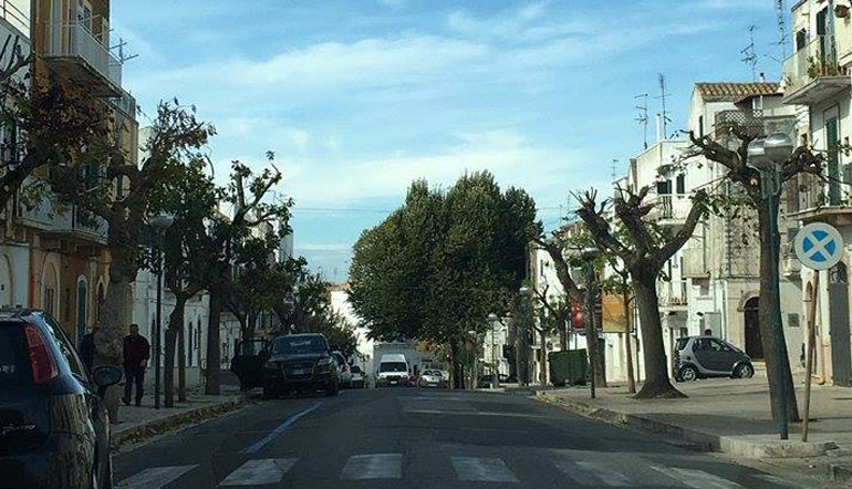 Avviati i lavori di manutenzione del verde pubblico