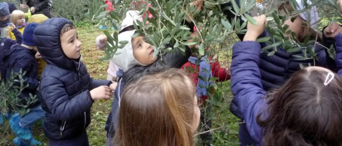 Immagine 2: Girotondo intorno all'albero