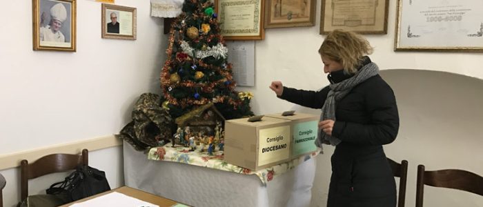 Immagine 3: Rinnovo dei Consigli Parrocchiali di AC