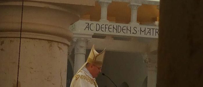 Immagine 3: In festa per l'Abate Pege
