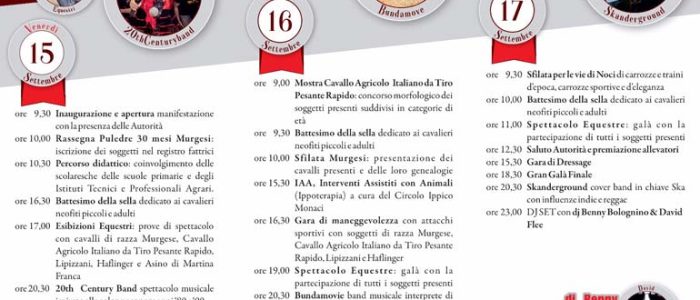 Immagine 2: Tre giorni con il Murgese