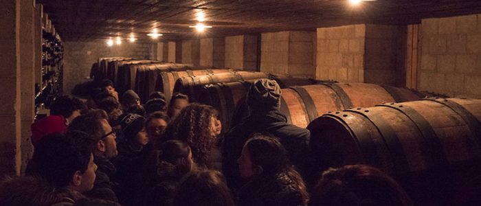 Immagine 2: “Dalla vigna al vino”, la scuola da Deliziosa e Cantine Barsento