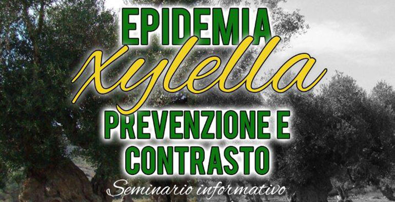 Epidemia Xylella: prevenzione e contrasto