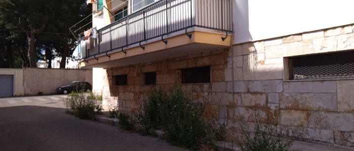 Immagine 2: Viabilità cittadina: erba alta e buche