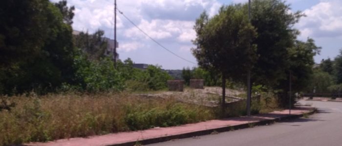 Immagine 4: Viabilità cittadina: erba alta e buche