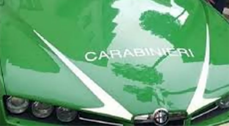Forestale: Sequestrato fabbricato abusivo