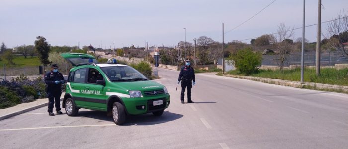 Immagine 2: Noci blindata per Pasqua, 250 controlli e 25 multe