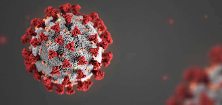 20 novembre: 37.242 nuovi casi di Coronavirus in Italia. 1.456 in Puglia
