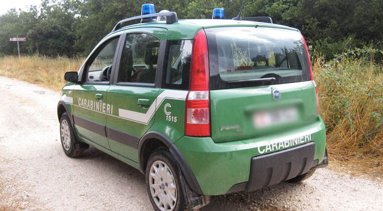 Pantera a Noci… Si, no, forse