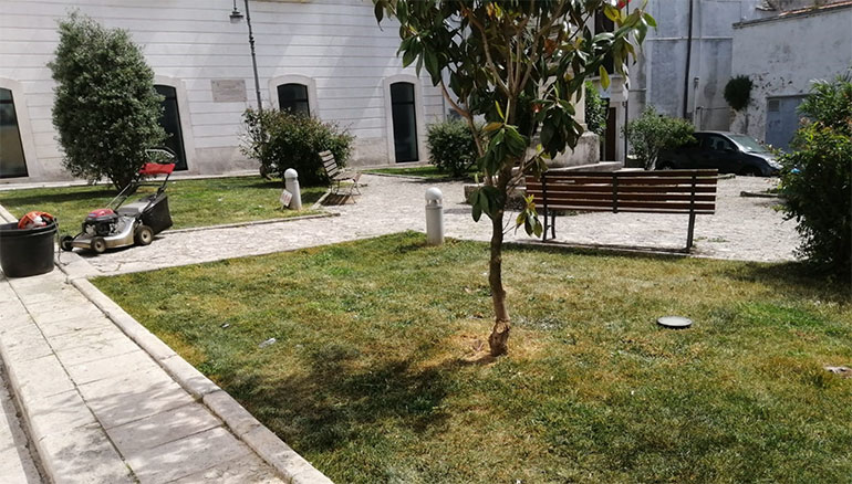 Interventi di potatura su strade urbane ed extraurbane