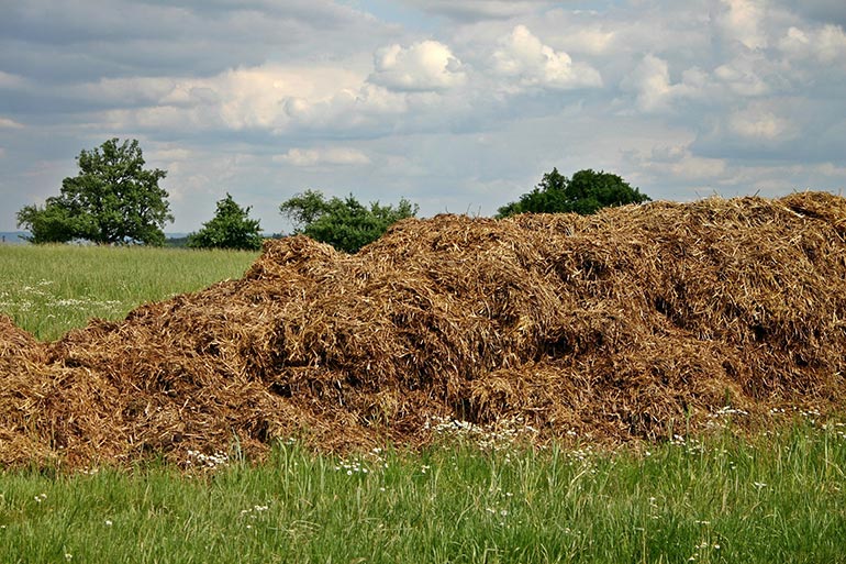 Dal 23 luglio, vietato lo spargimento letame nell’agro