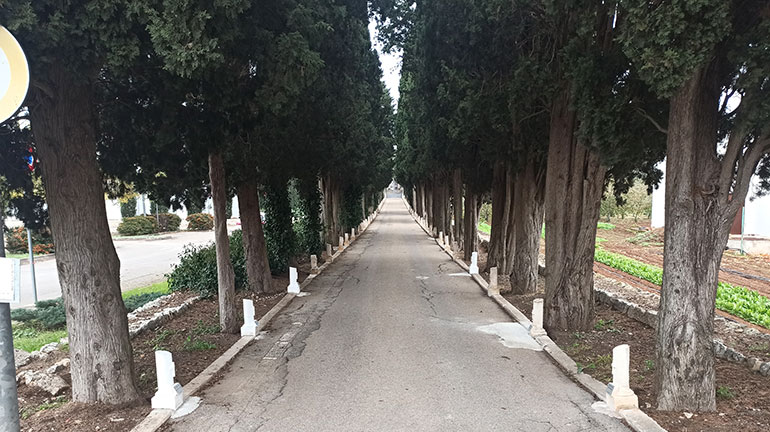 Cimitero comunale: restaurati i cippi dedicati ai caduti