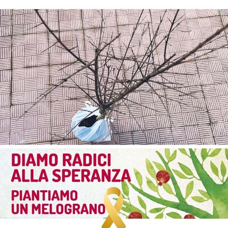 XXI Giornata contro il cancro infantile: Alberi di melograno alle scuole dell’infanzia