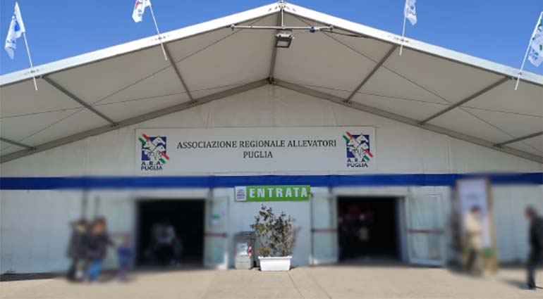 Mostra Bovina: Allarme bomba, evacuato il foro boario