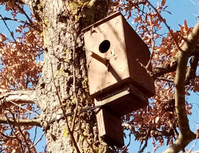 Conservazione della fauna selvatica a Bosco Giordanello