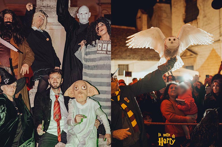 Successo per “La Notte di Harry”