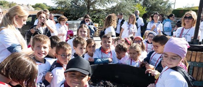 Immagine 3: I bambini fanno la vendemmia