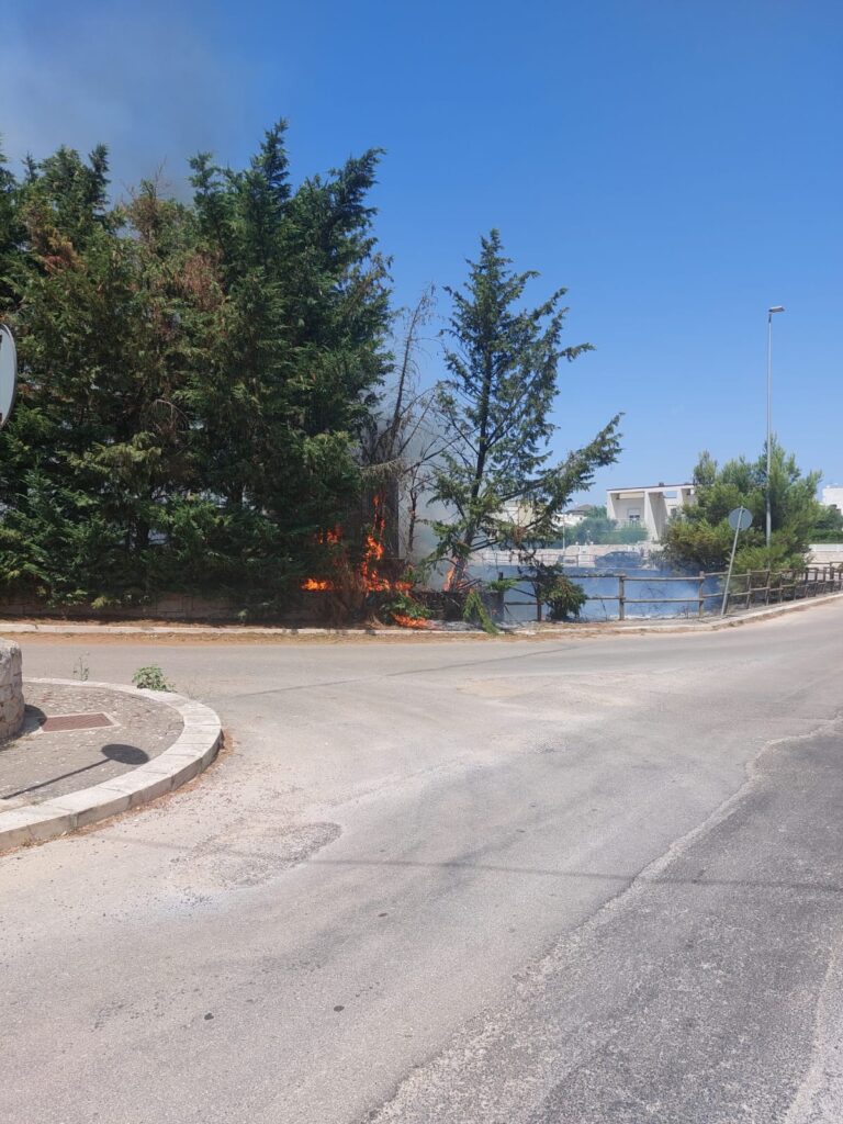 Sterpaglie a fuoco, pericolo per il vicino impianto di gas