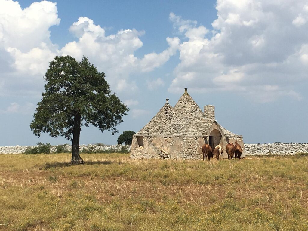 Noci protagonista a “I viaggi del cuore”