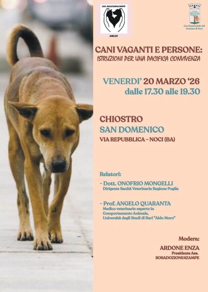 Cani vaganti e persone, istruzioni per una pacifica convivenza