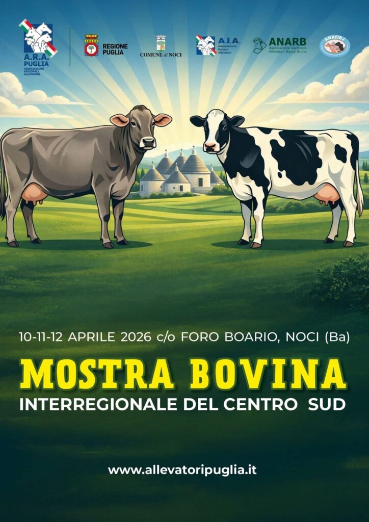 Tutto pronto per la Mostra Bovina